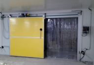 Long-Term Fit for Automated Freezer Access