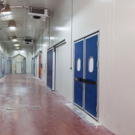 Choosing Swing Doors for Daily Impact